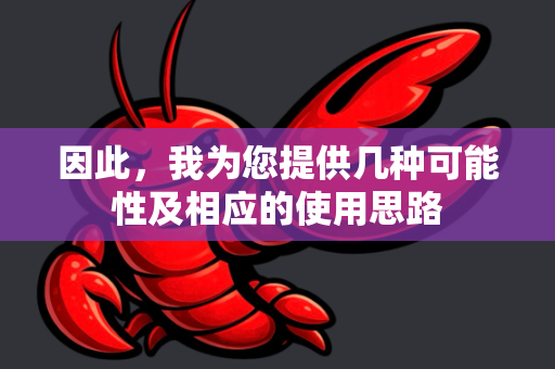 因此，我为您提供几种可能性及相应的使用思路