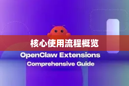 核心使用流程概览