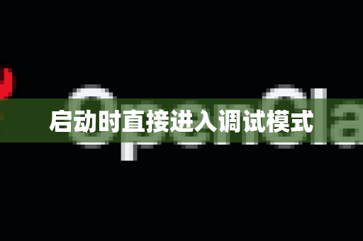 启动时直接进入调试模式
