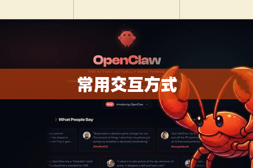 常用交互方式