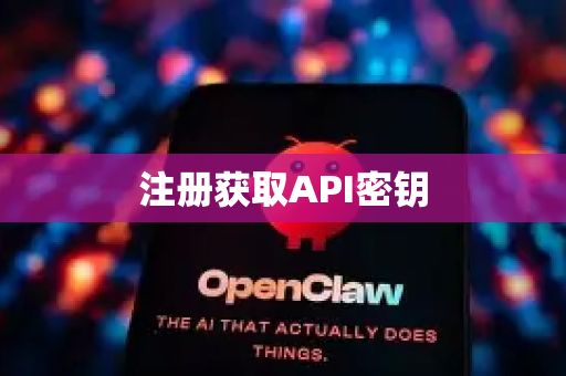 注册获取API密钥