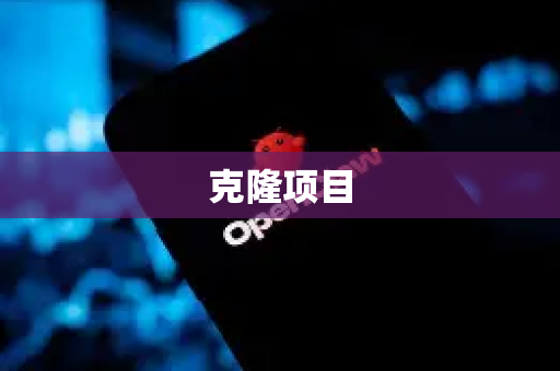 克隆项目