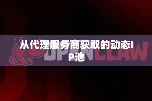从代理服务商获取的动态IP池