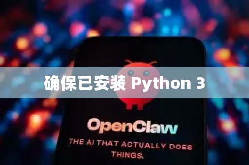 确保已安装 Python 3