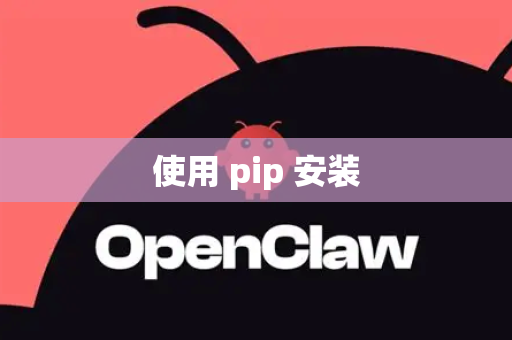 使用 pip 安装