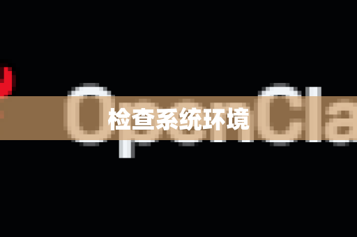 检查系统环境