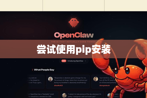 尝试使用pip安装