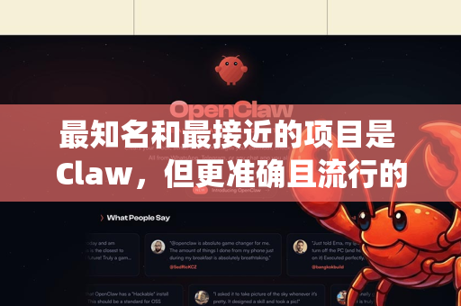 最知名和最接近的项目是 Claw，但更准确且流行的同类开源工具是 Insomnia 和 Hoppscotch。下面我将为您提供最有可能的解决方案和相关替代品的信息