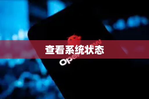 查看系统状态-第1张图片-OpenClaw下载官网 - OpenClaw电脑版 | ai小龙虾