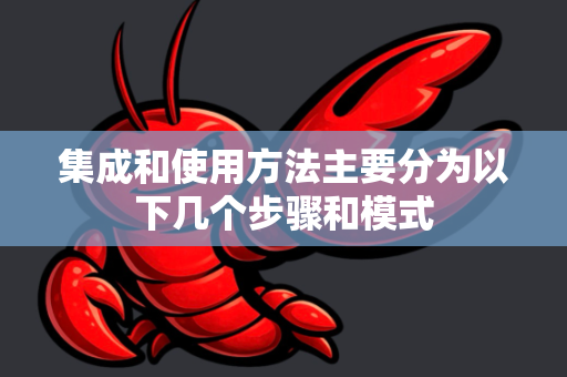 集成和使用方法主要分为以下几个步骤和模式