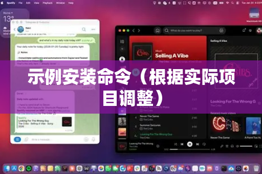 示例安装命令（根据实际项目调整）