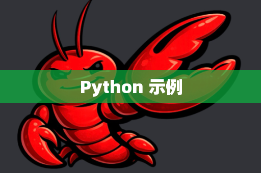 Python 示例